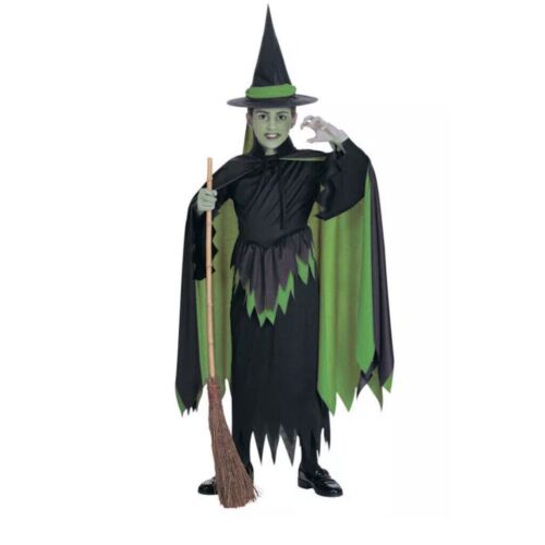 Costume de la Sorcière Maléfique de L'Oz