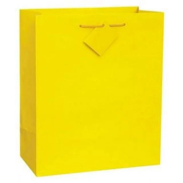 Large Solid Primary Gift Bag