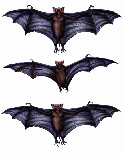 Autocollant de Chauve-Souris 3D pour Fenêtres