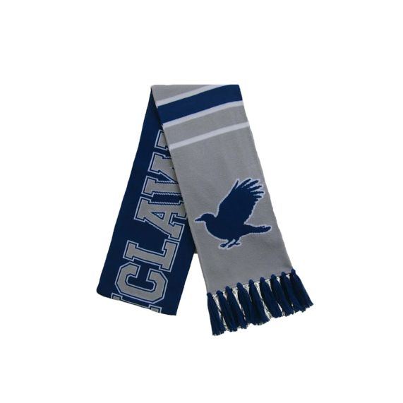 Écharpe de Quidditch Ravenclaw - Harry Potter