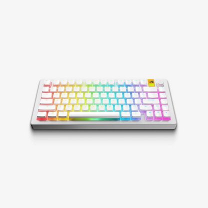 GPBT ARA V3 KEYCAPS