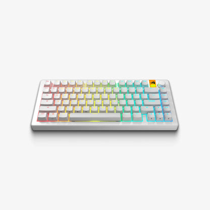 Клавіші клавіатури RGB в PBT