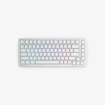 ABS Doubleshot Keycaps in White on a GMMK PRO White Ice keyboard, top view