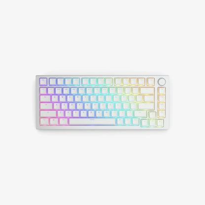 Aura V2 Keycaps in White on a GMMK PRO White Ice keyboard