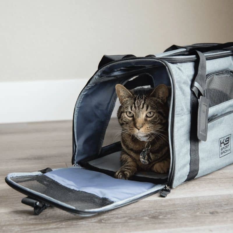 Сабака для авіяцыі сабак Air і Cat K9 Sport Sack - шэры, лёгкі і практычны для менш за 9 кг