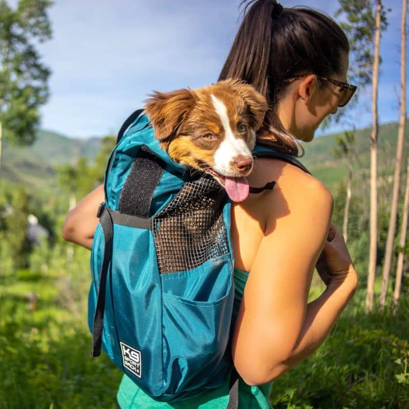 Transport and hiking backpack - Blue