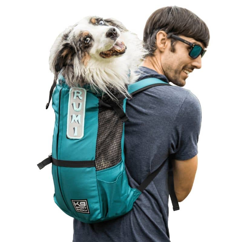 Transport and hiking backpack - Blue