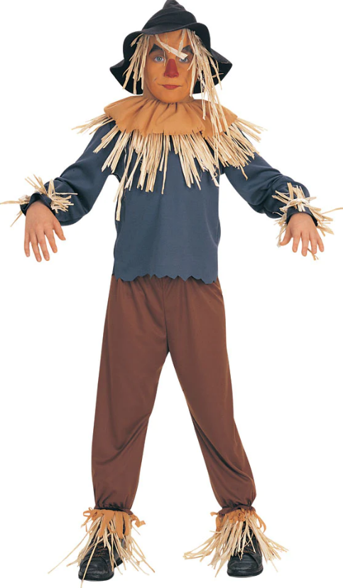 Costume Épouvantail du Magicien d'Oz pour Enfant