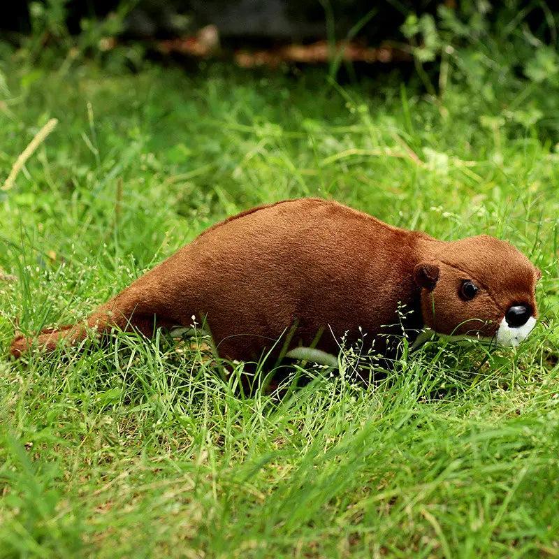 doudou-de-loutre