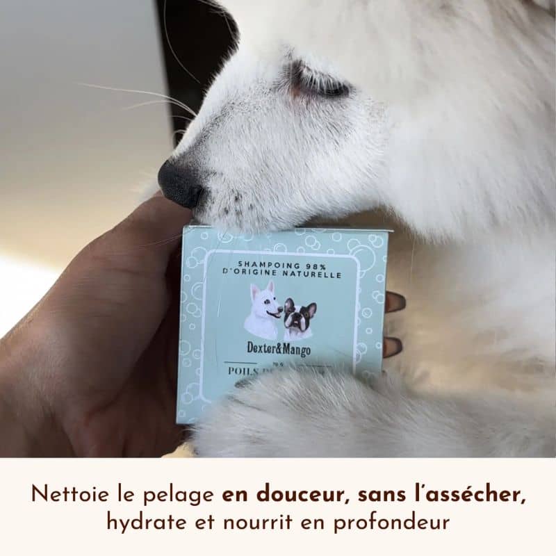 Shampoing solide pour chien Poils de velours - tous pelages