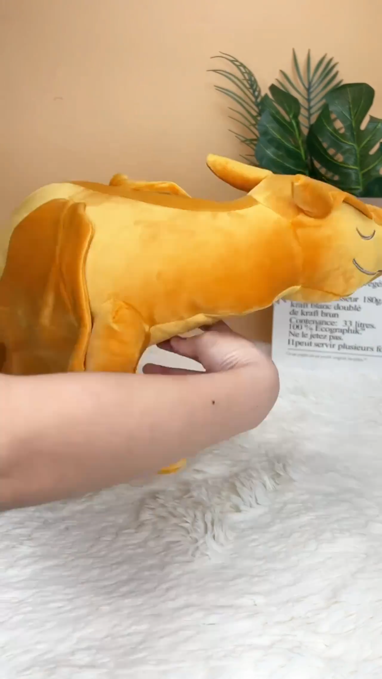 Coussin en Peluche Glurak Charizard - Confort et Magie Pokémon