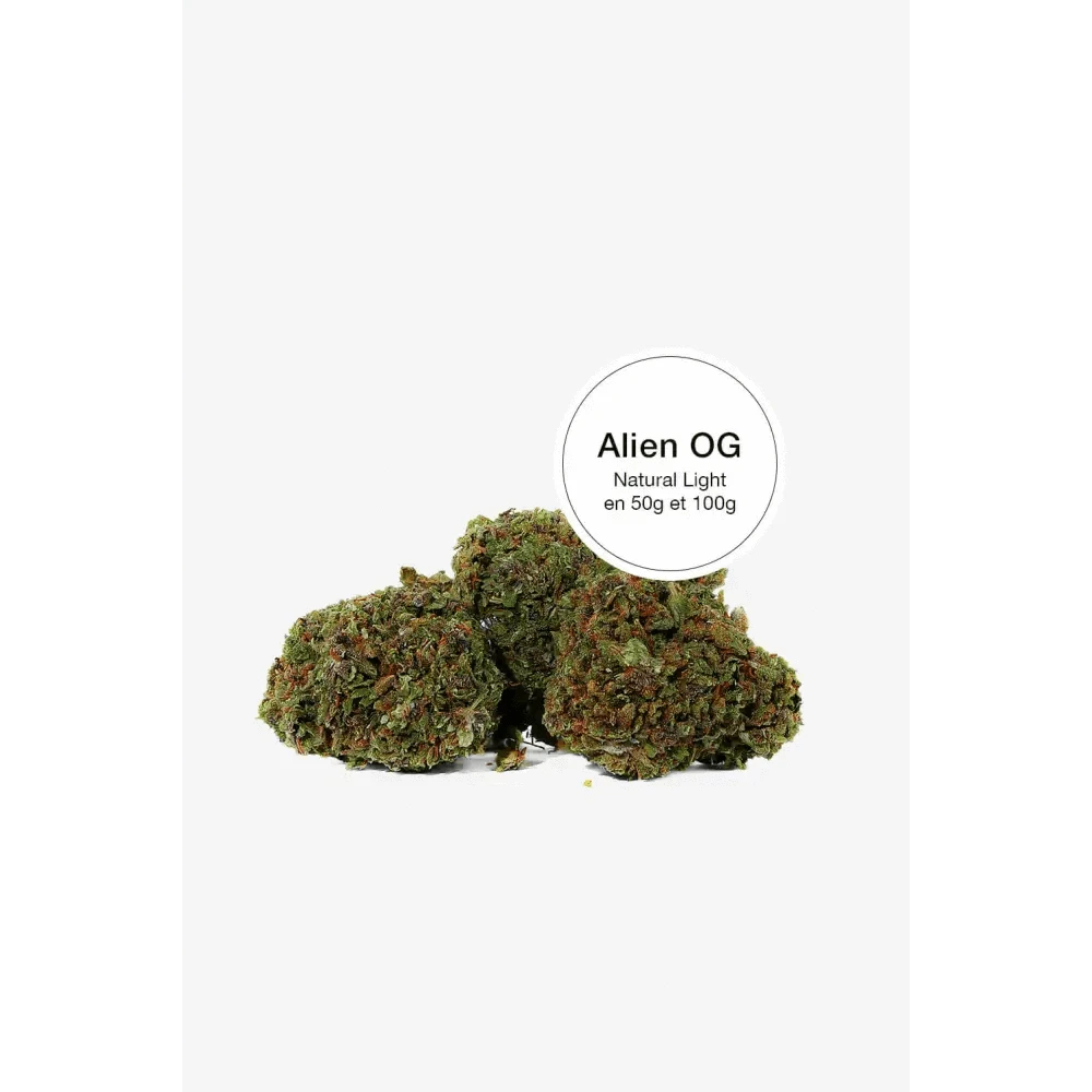 Alien OG CBD｜Pot - Passeport Cases