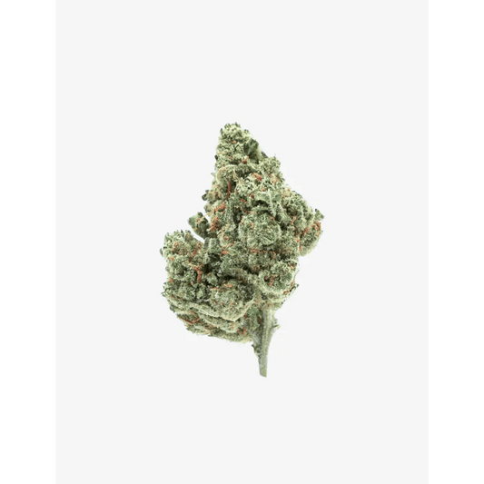 Amnesia CBD｜Pot - Passeport Cases