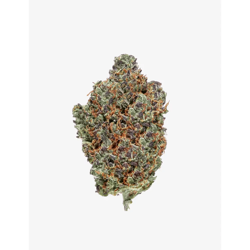 Amnesia Haze Small Buds｜Pot - Passeport Cases