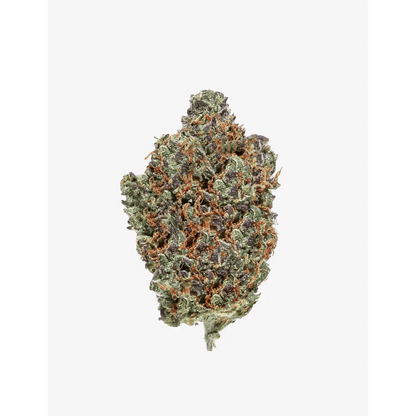 Amnesia Haze Small Buds｜Pot - Passeport Cases