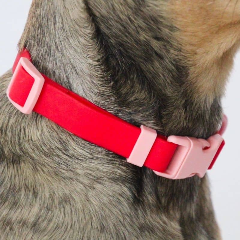 Collana per cani impermeabile - tono a due toni rosso e rosa - resistente e stile da approvato da Fritz