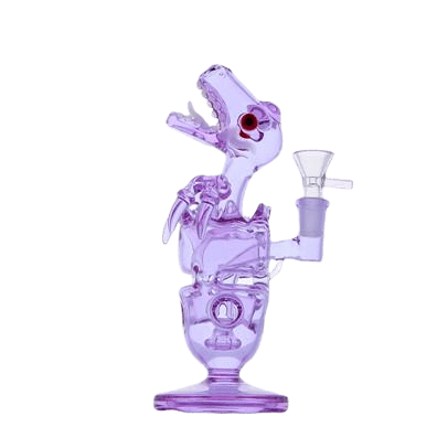 RIG EN VERRE DINOSAURE 20 CM - Accessoires Fumeur 420 | Professionnels de Bangs, Pipe a Eau et CBD