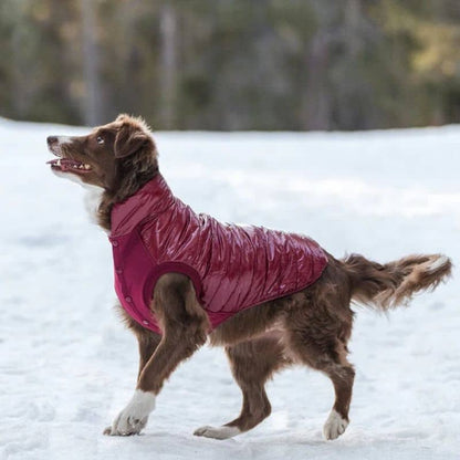 Hondenpufferjack - Bordeaux rood