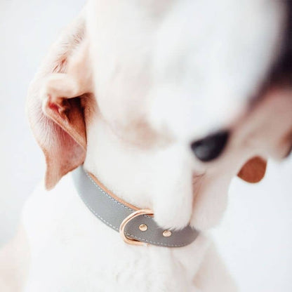 Collana in pelle di cani di lusso - Saffiano grigio