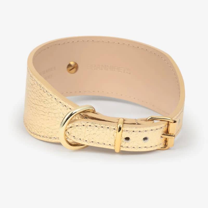 Läderhalsband för Greyhound - Golden