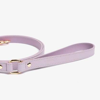 Leather leather for dogs - Mauve lavender