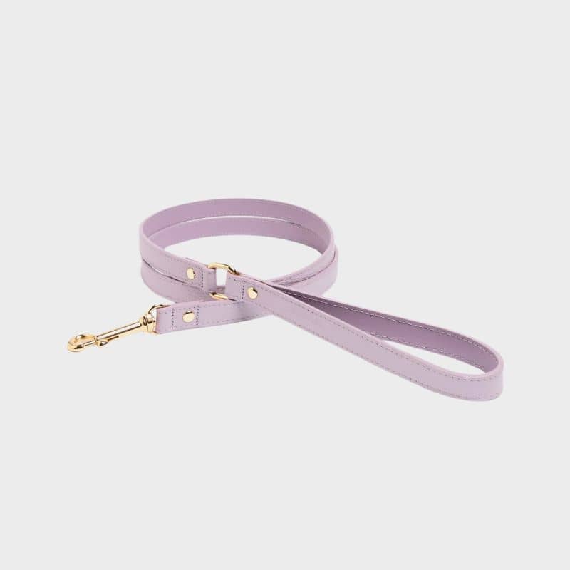 Leather leather for dogs - Mauve lavender