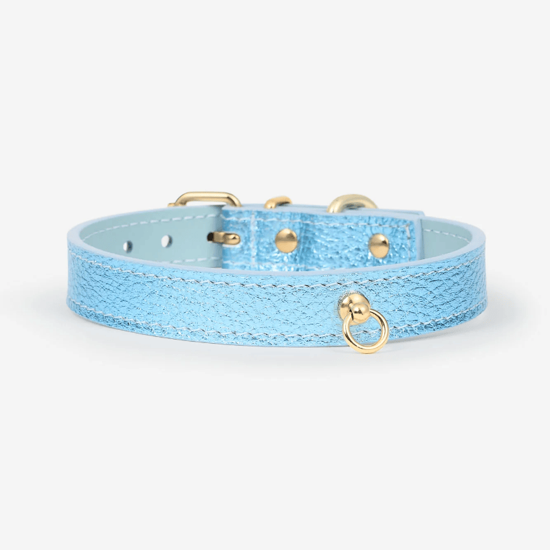 Hundläderhalsband - Sky Blue Metal