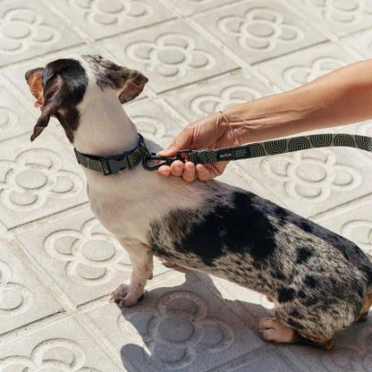 Dog necklace - Juno Japan Kaki