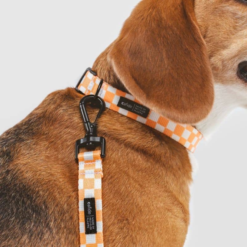 Dog necklace - Juno Vichy Orange Fishing 🧡