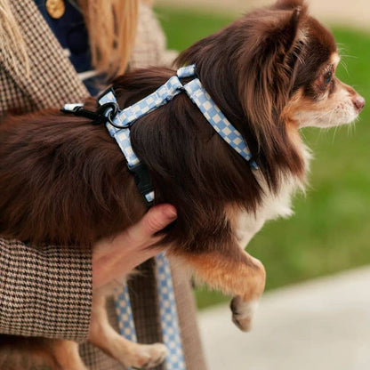 Strap Harness (Y) för hundar - Juno Vichy Bleu