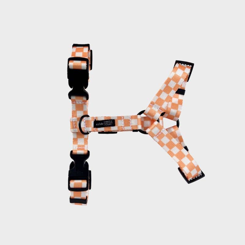 Strap harness (in y) for dogs - juno vichy orange fishing 🧡