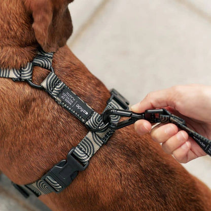 Strap harness (in y) for dogs - juno japan kaki