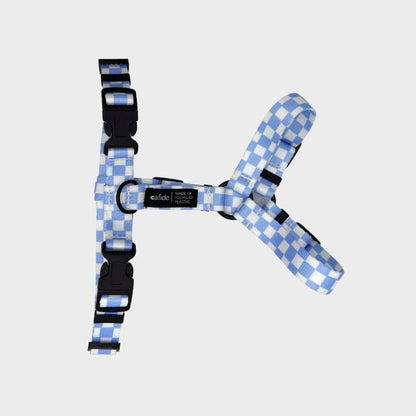 Strap Harness (Y) för hundar - Juno Vichy Bleu