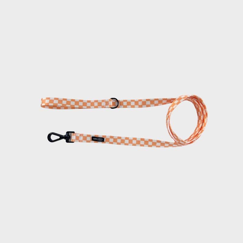 Less for dog - Juno Vichy Orange Fishing 🧡