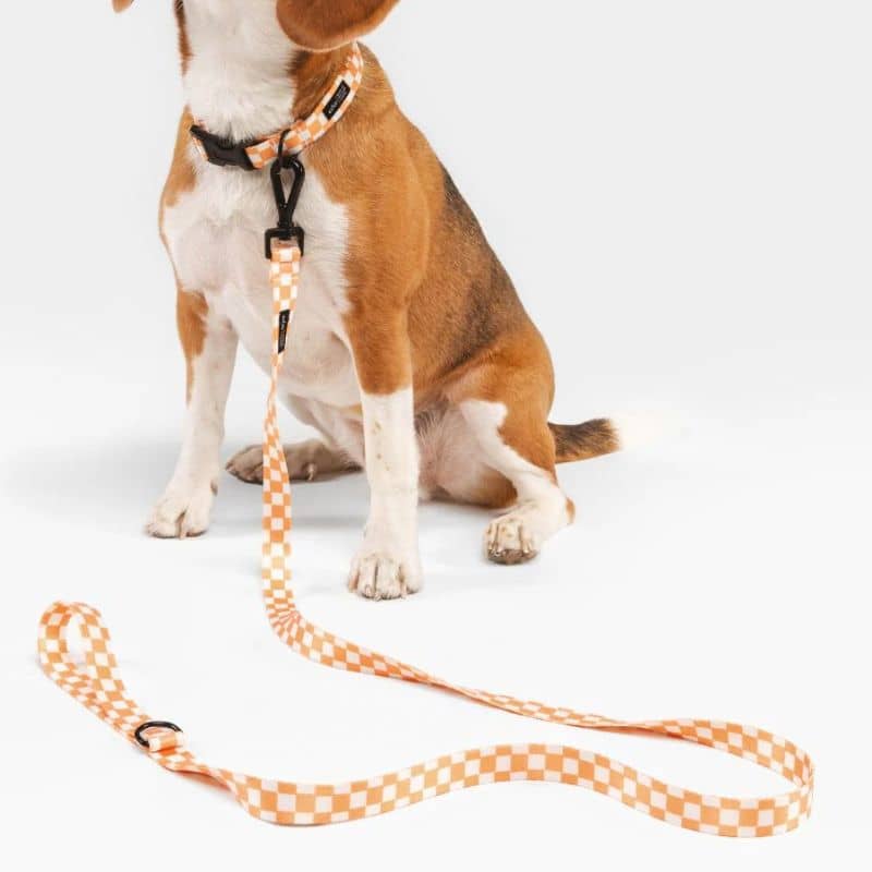 Less for dog - Juno Vichy Orange Fishing 🧡