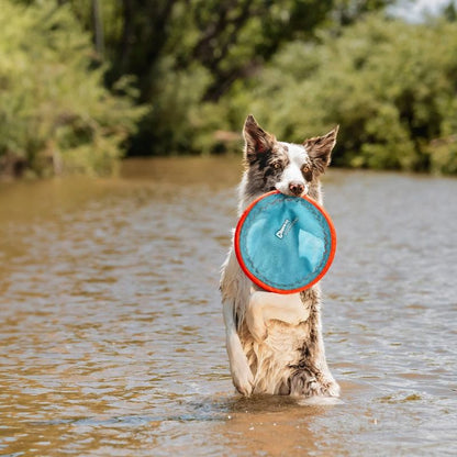 Frisbee Paraflight om te lanceren voor honden - klein