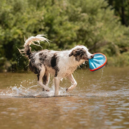 Frisbee Paraflight om te lanceren voor honden - klein