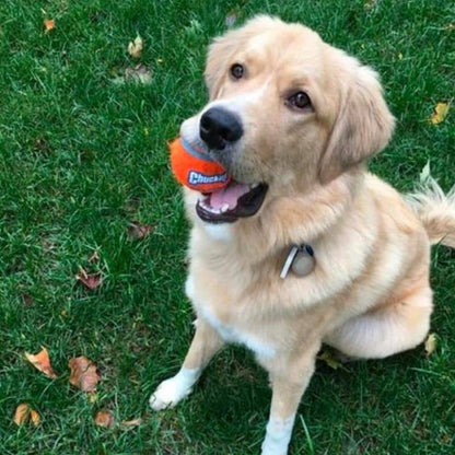 Set di 2 palline da tennis per cani galleggianti - Compatibile del lanciatore di Chuckit, disponibile in 2 dimensioni