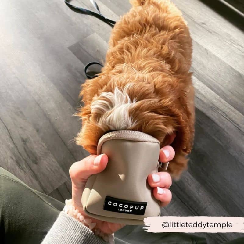 Sacoche Mini Spéciale Balade pour Chien - Couleur Caramel Latte par Cocopup London