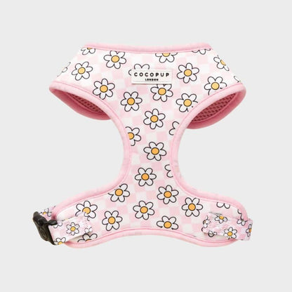 Hund Harness - Marguerites Vichy Rose