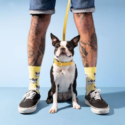 Unisex cotton socks with French bulldog patterns - Made in France