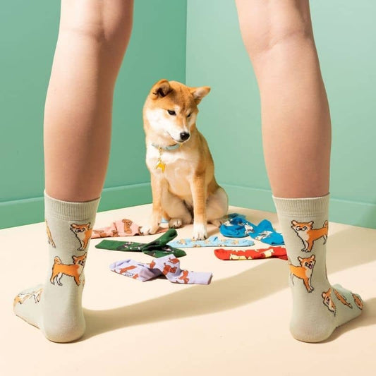 Unisex cotton socks with Shiba motif - Made in France