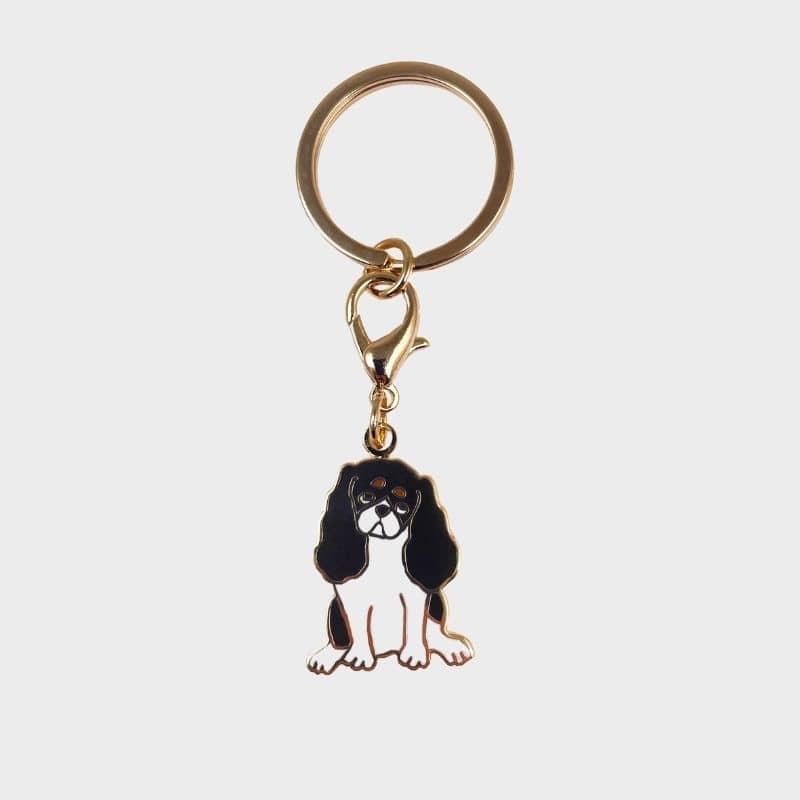 Porte-Clé Multifonction Cavalier King Charles avec Médaille pour Chien - Coucou Suzette