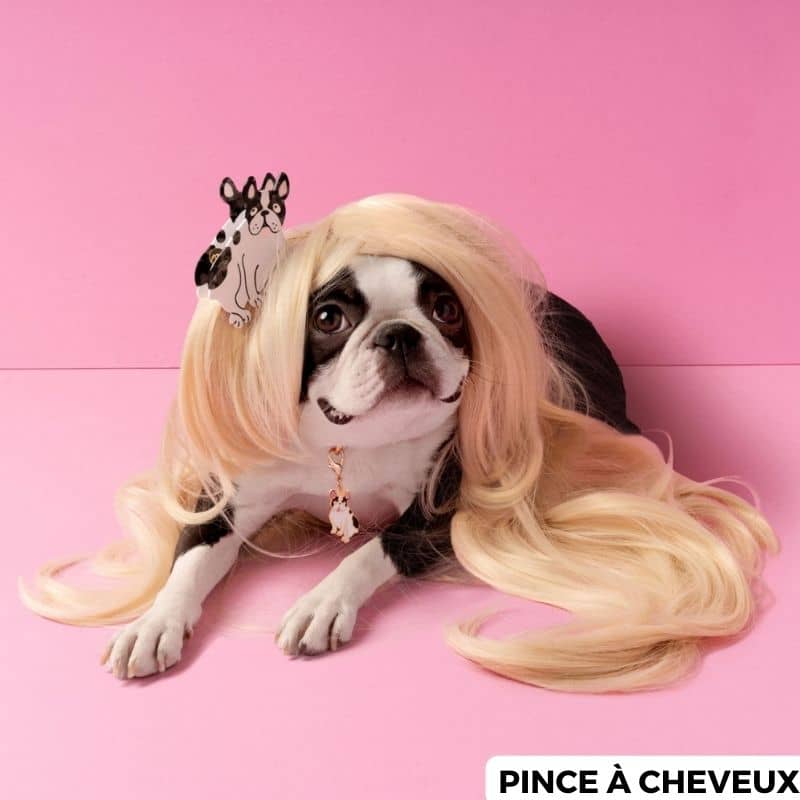 Pinze per capelli bulldog francesi originali - Disponibile in 2 dimensioni