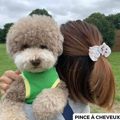 Accessoire Cheveux Bichon