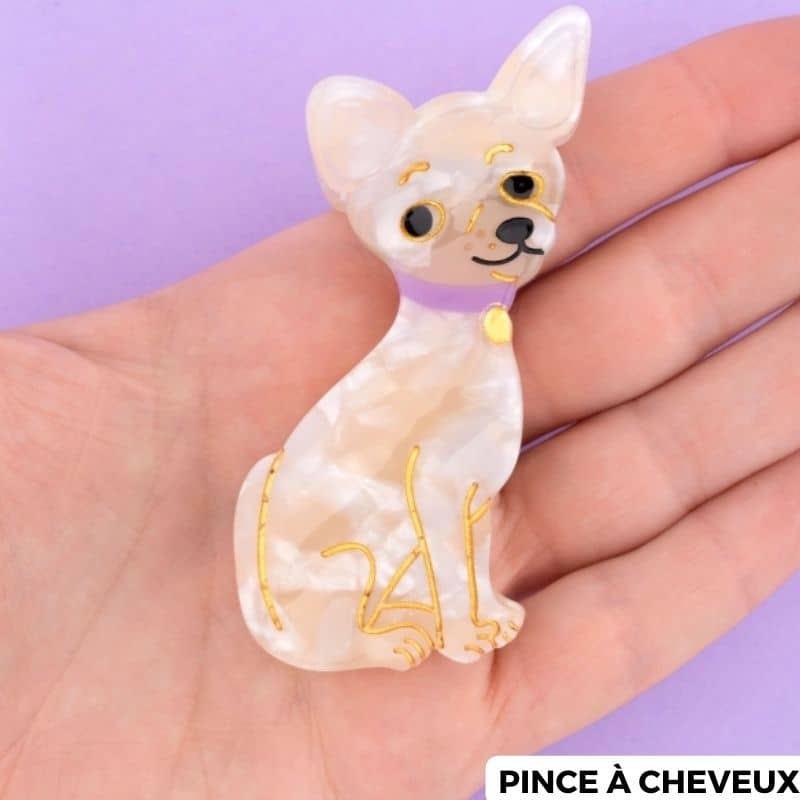 Accessoire cheveux Chihuahua