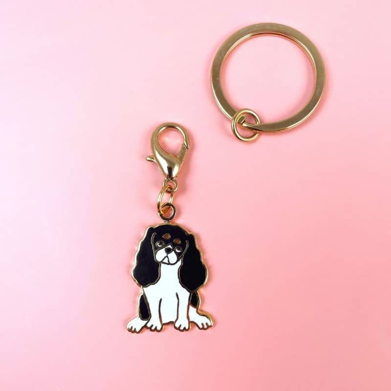 Porte-Clé Multifonction Cavalier King Charles avec Médaille pour Chien - Coucou Suzette