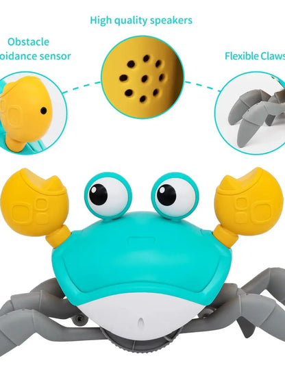 Interactive baby toy Samy Le Crab ™