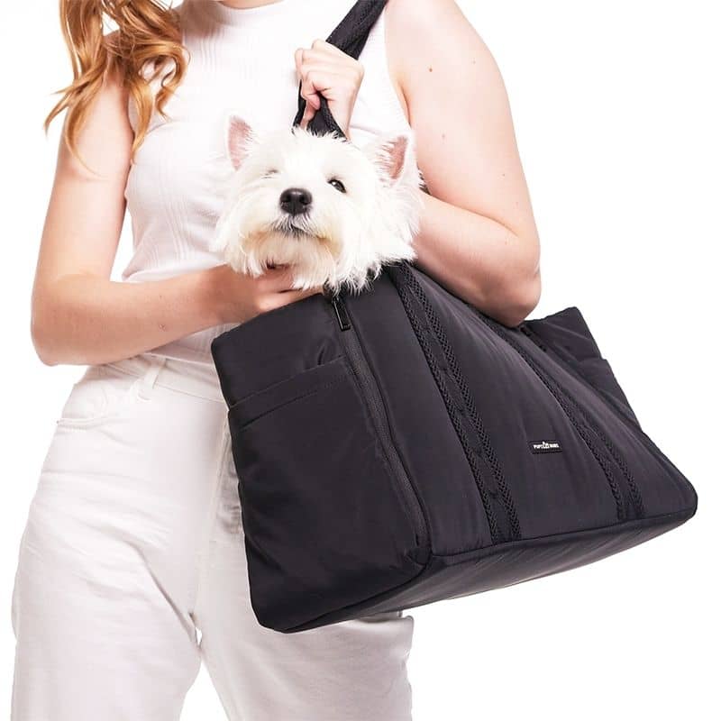 Sac de Transport pour Chien Convertible et Pliable - Noir - Polyvalent et Compact