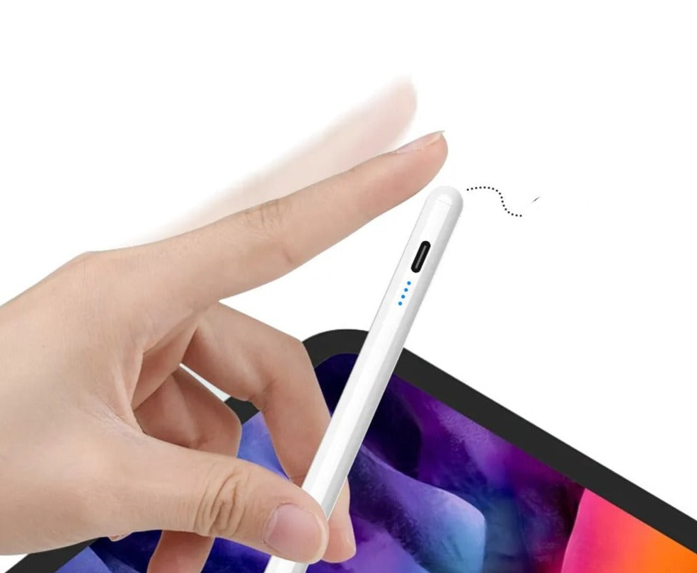 Stylet Précis avec Rejet de la Paume pour iPad